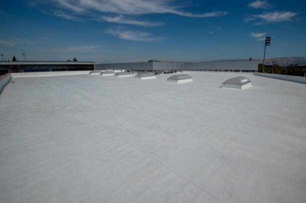 Best Hot Roofs  in Williamsport, OH