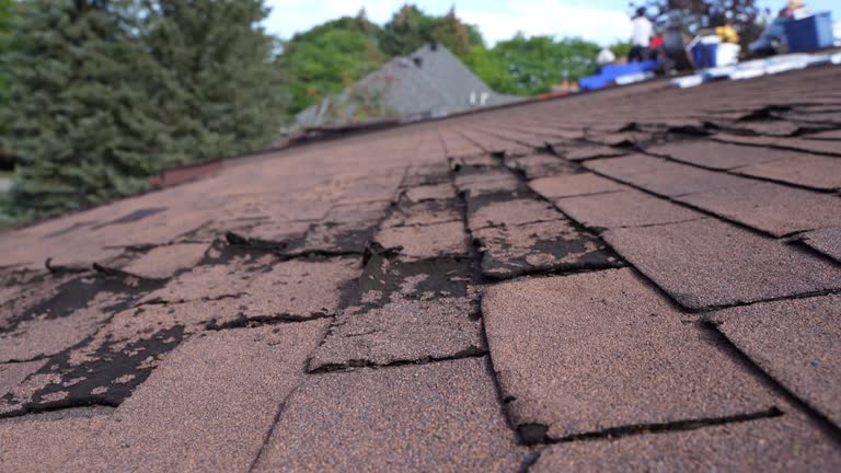 Best Roofing for New Construction  in Williamsport, OH